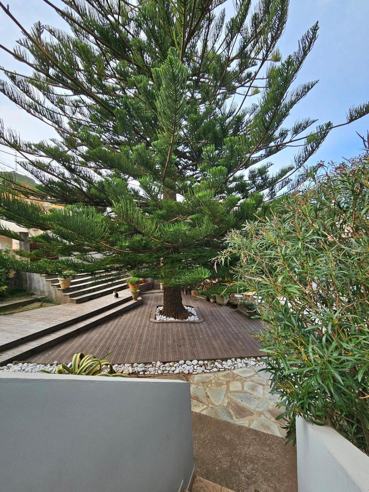 Domaine U Pozzu Apartment Sisco Bagian luar foto